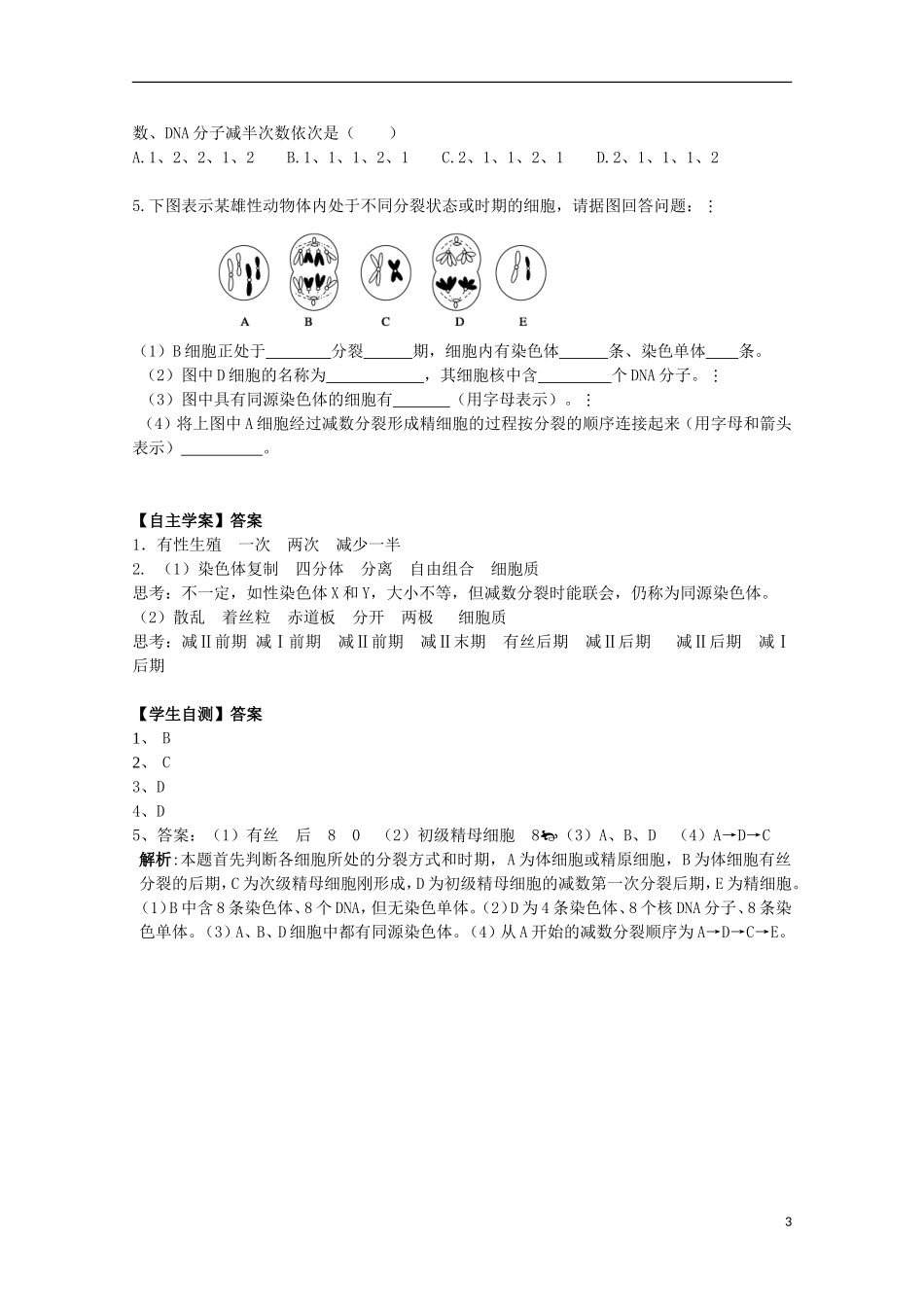 2012年高中生物2.1《细胞的减数分裂》1自学学案 苏教版必修2_第3页