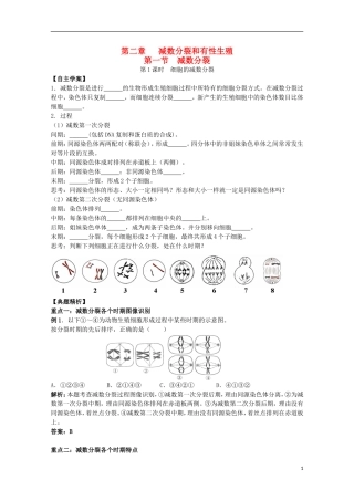 2012年高中生物2.1《细胞的减数分裂》1自学学案 苏教版必修2