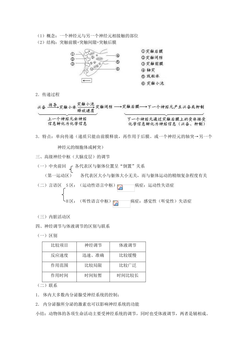 2012高三生物第一轮复习 4、生命活动的调节2-2人和高等动物生命活动的调节之神经调节教案 新人教版_第2页