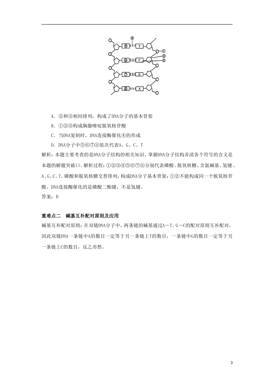 2012高三生物一轮复习 DNA的结构和复制导学案 新人教版_第3页