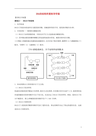 2012高三生物一轮复习 DNA的结构和复制导学案 新人教版