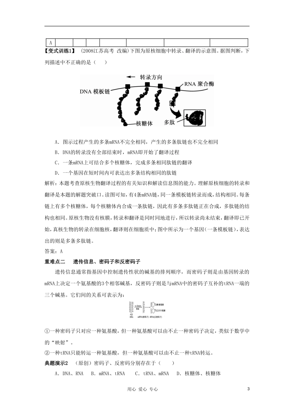 2012高三生物一轮复习 基因指导蛋白质的合成导学案 新人教版_第3页