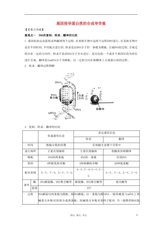 2012高三生物一轮复习 基因指导蛋白质的合成导学案 新人教版