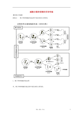 2012高三生物一轮复习 减数分裂和受精作用导学案 新人教版