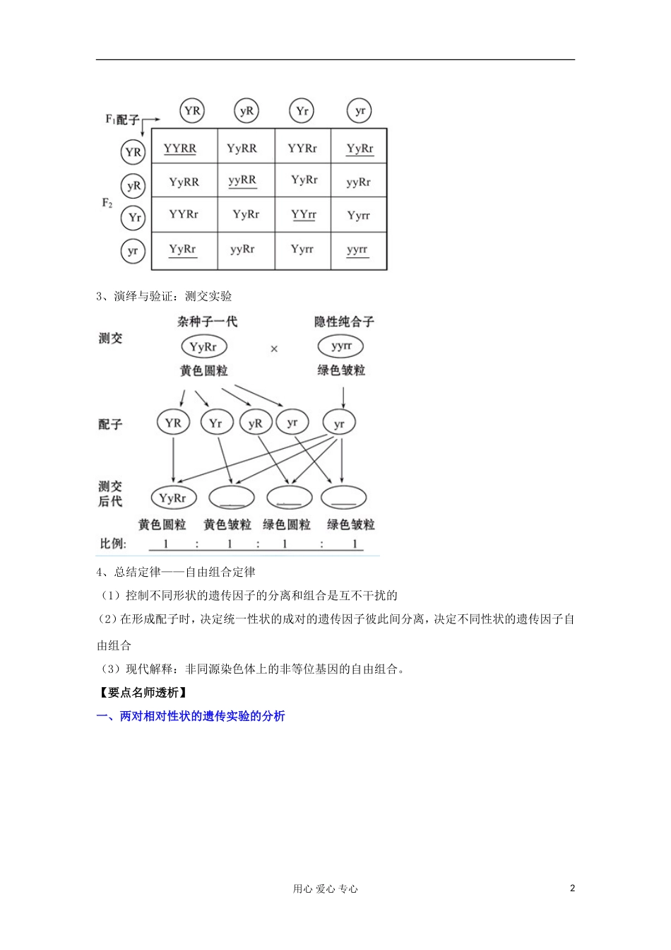 2012版高考生物一轮 1.2 孟德尔的豌豆杂交实验（二）精品复习学案 必修2_第2页