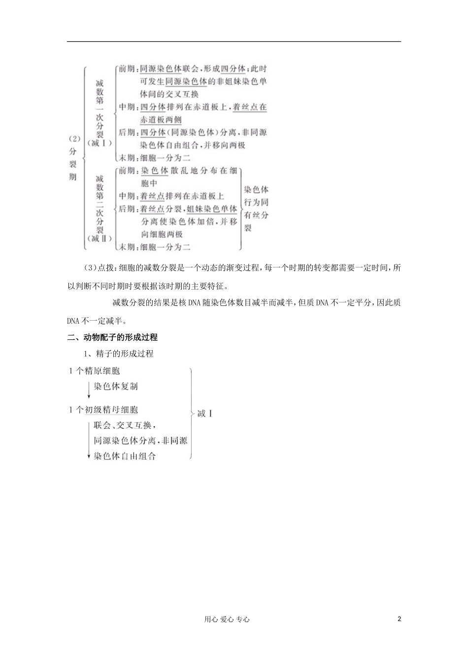 2012版高考生物一轮 2.1 减数分裂和受精作用精品复习学案 必修2_第2页