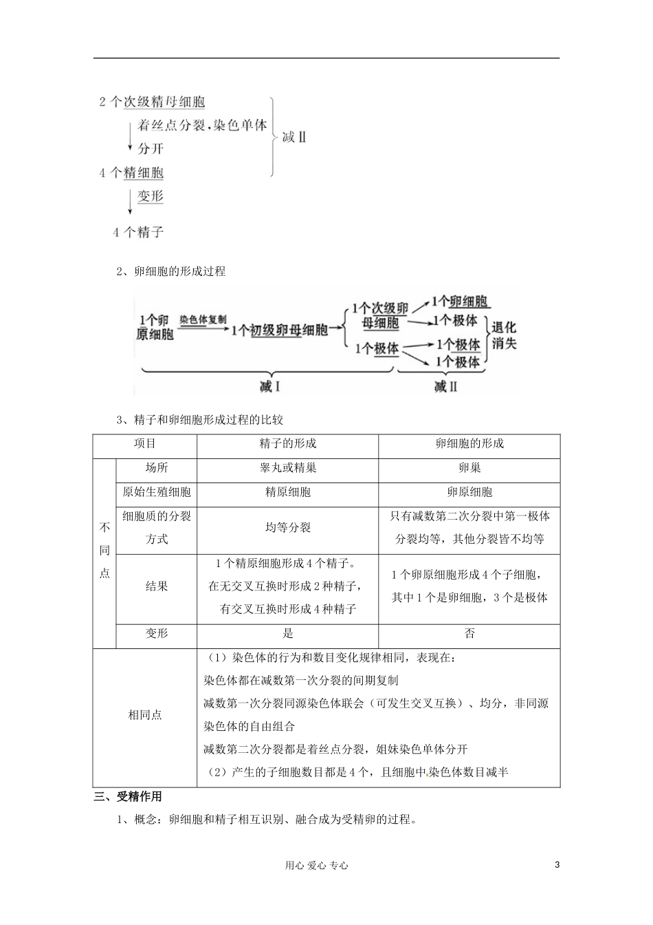 2012版高考生物一轮 2.1 减数分裂和受精作用精品复习学案 必修2_第3页