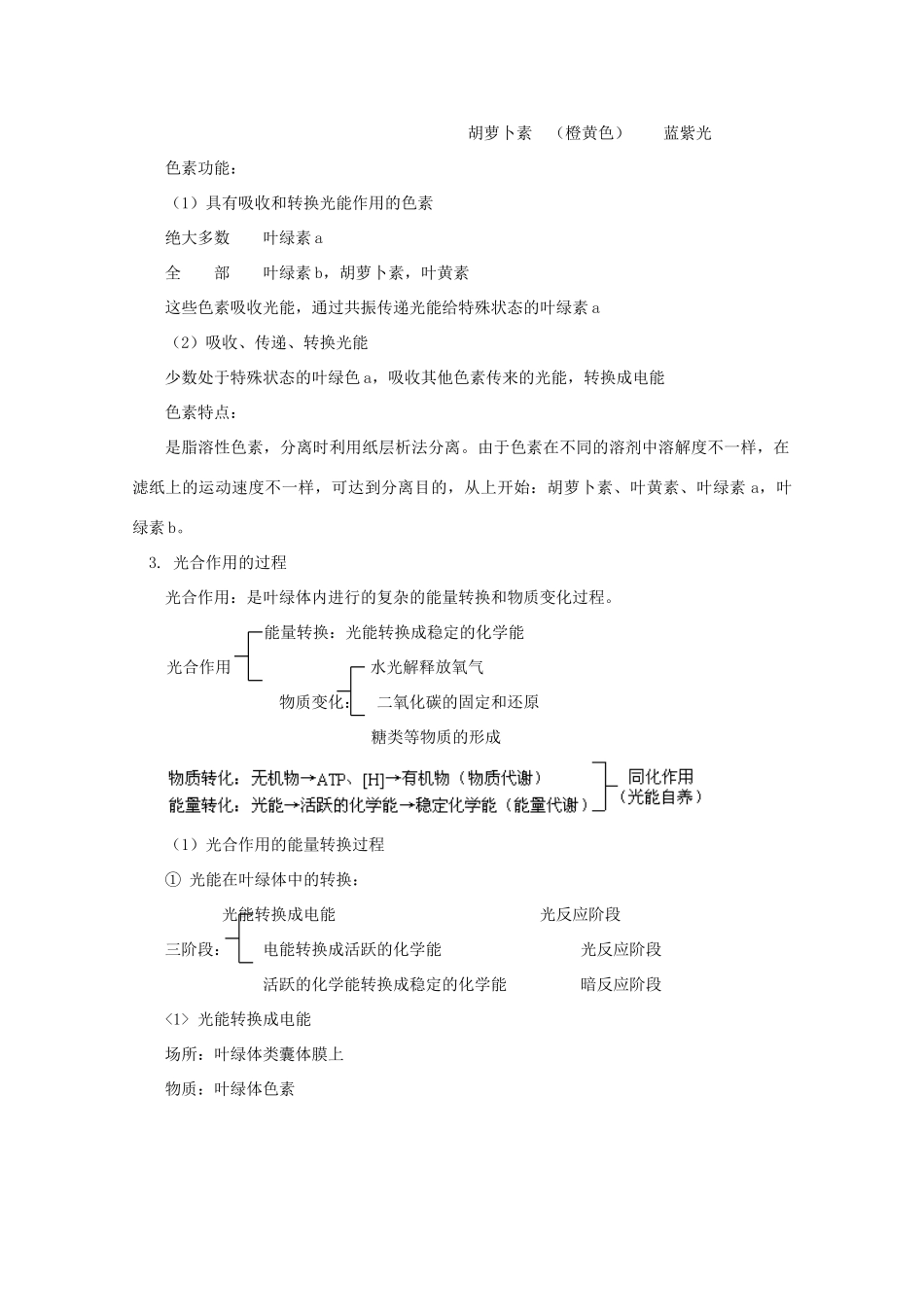 2012高三生物专题复习 光合作用知识教案_第2页