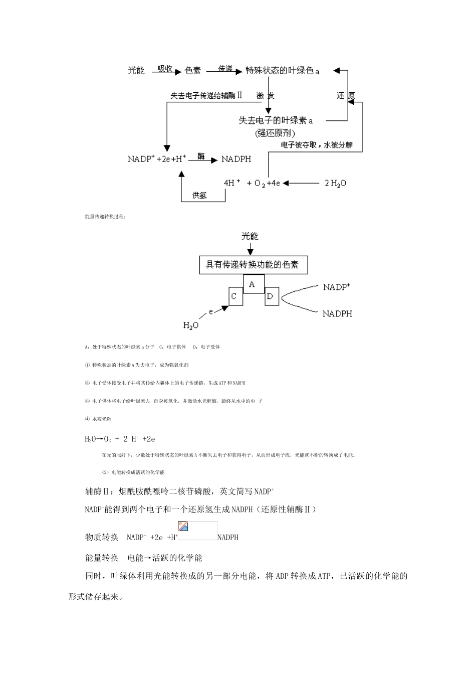 2012高三生物专题复习 光合作用知识教案_第3页
