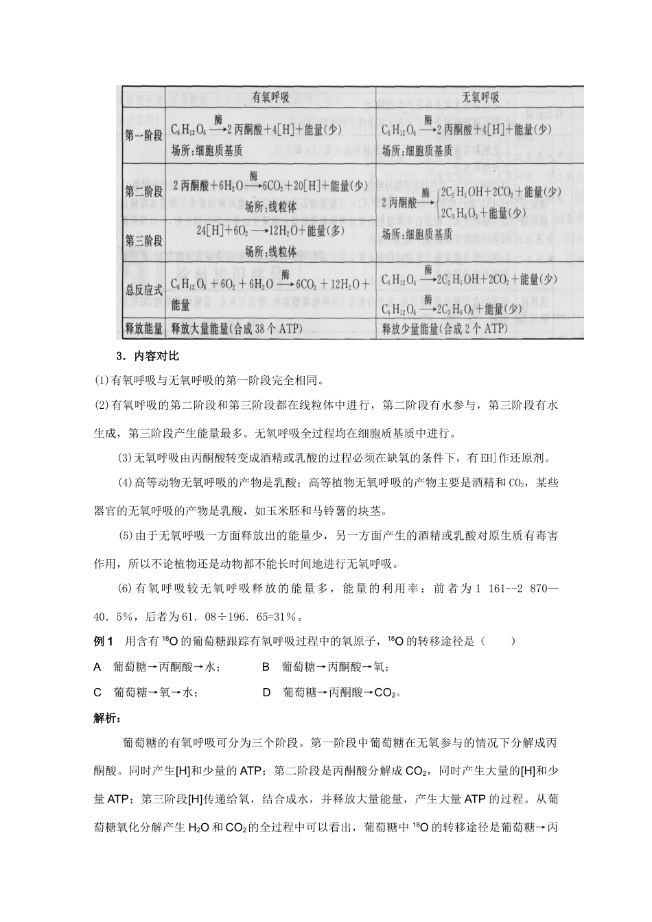2012高三生物总复习 第11讲细胞呼吸教案_第3页