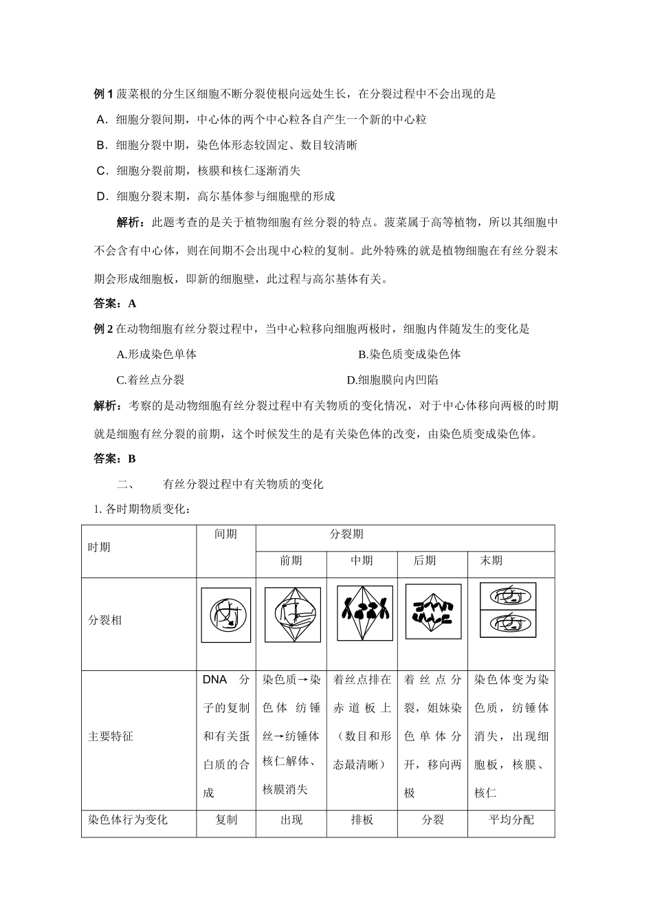2012高三生物总复习 第13讲细胞的增殖教案_第3页