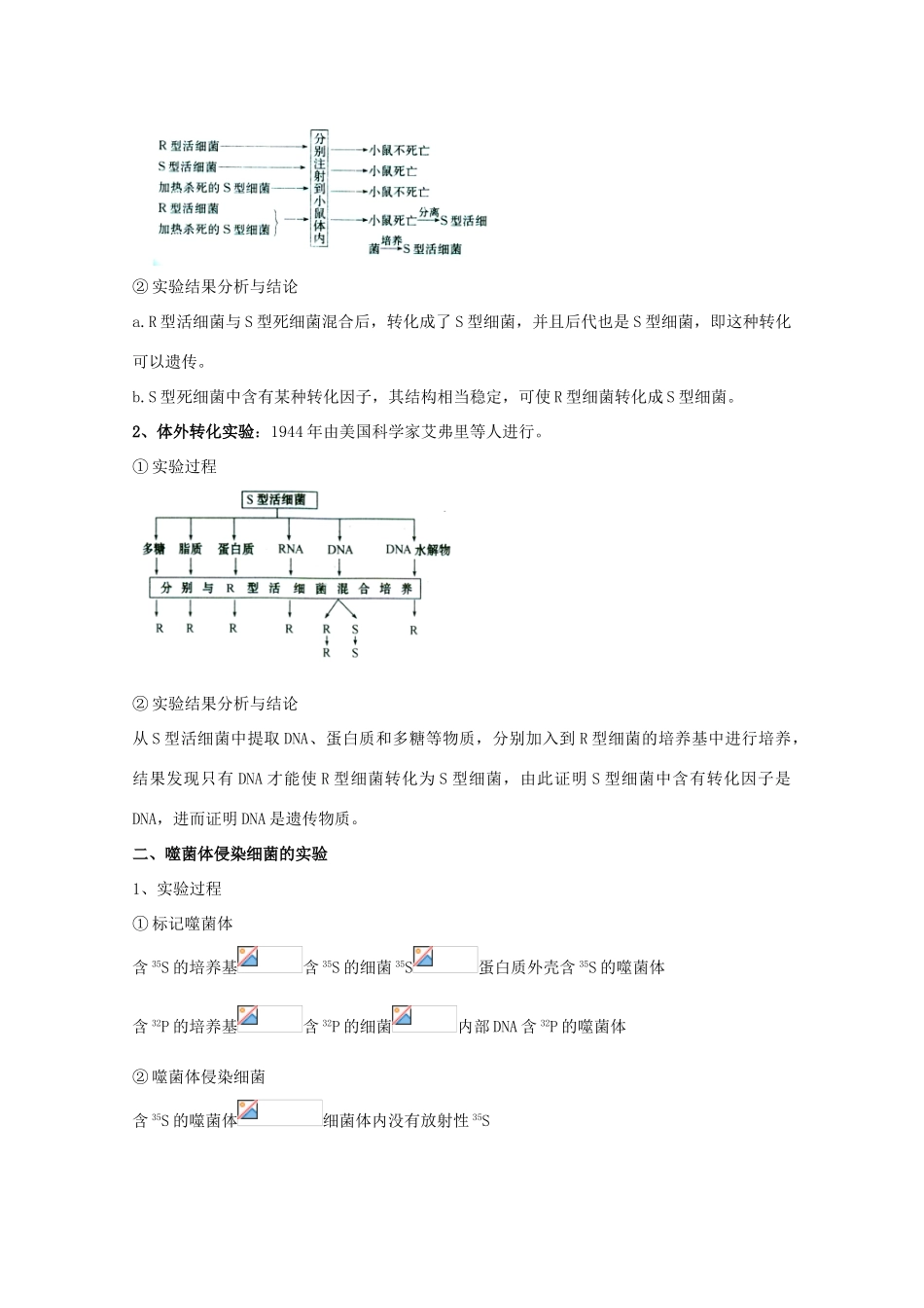 2012高三生物总复习 第20讲 DNA是主要的遗传物质教案_第3页
