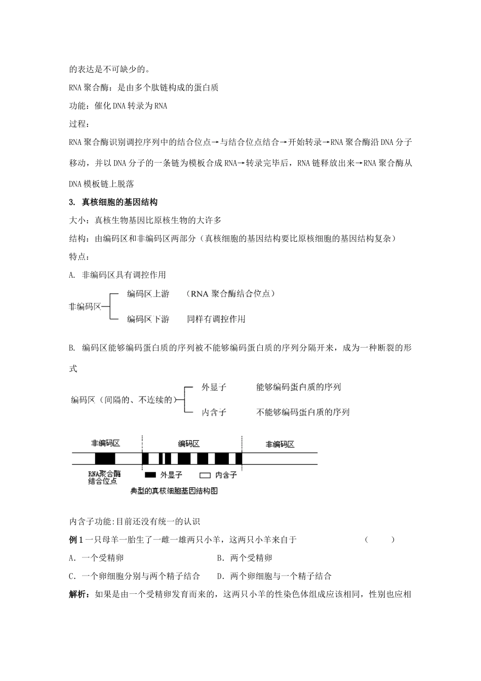 2012高三生物总复习 第22讲 认识基因教案_第3页