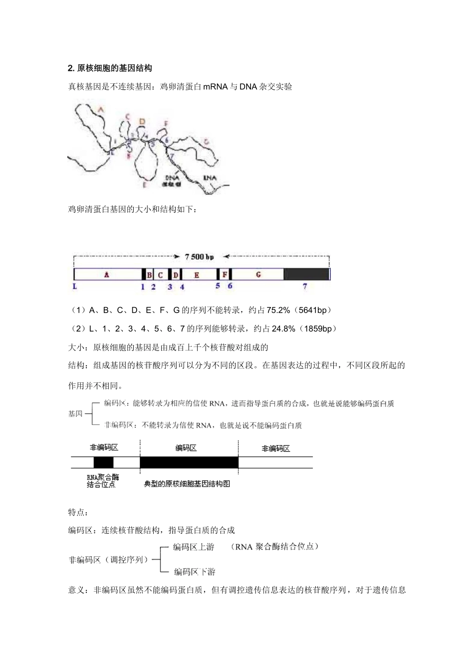 2012高三生物总复习 第22讲认识基因教案_第2页