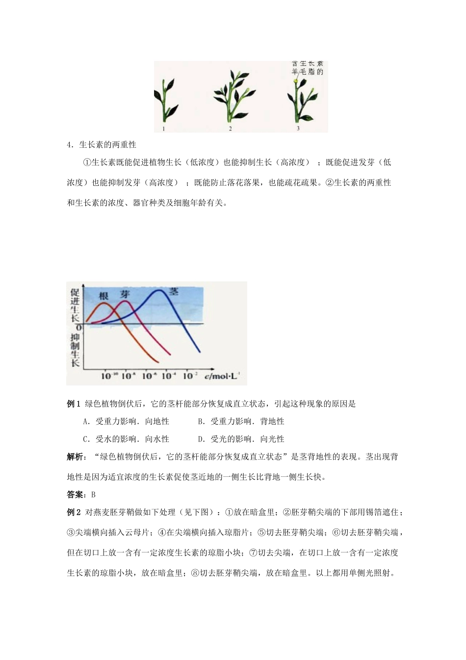 2012高三生物总复习 第34讲植物的激素调节教案_第3页