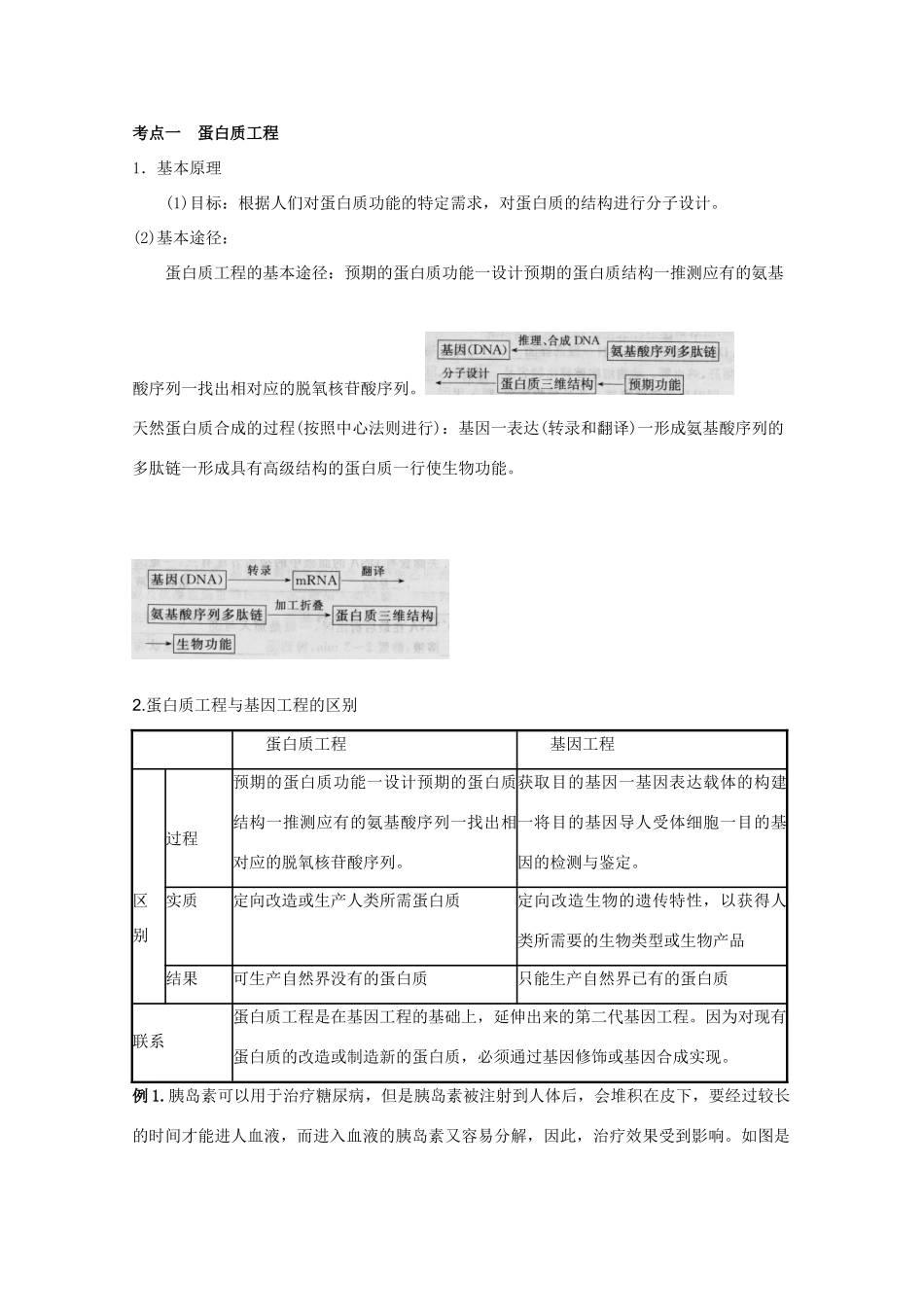 2012高三生物总复习 第47讲蛋白质工程教案_第2页