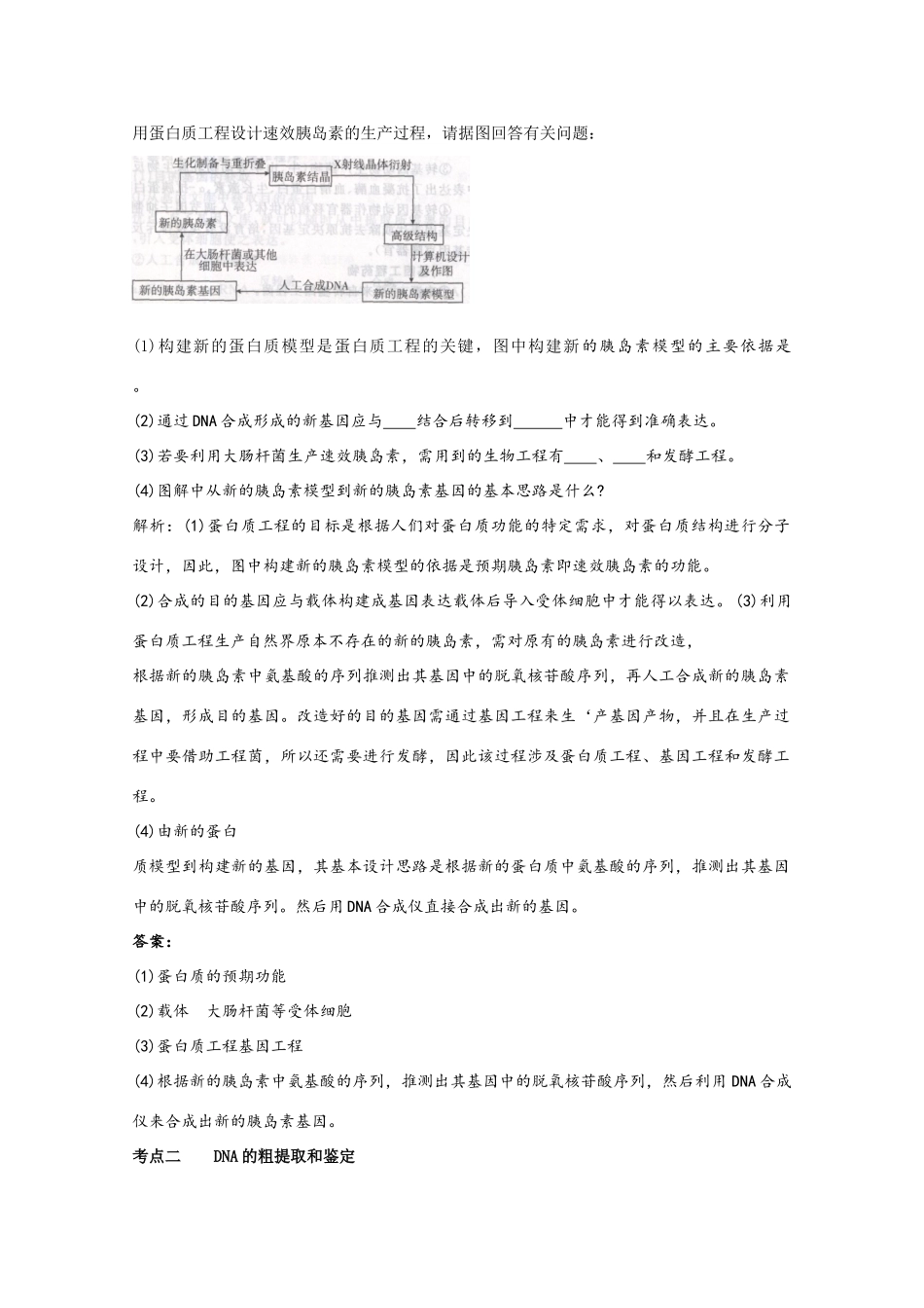 2012高三生物总复习 第47讲蛋白质工程教案_第3页