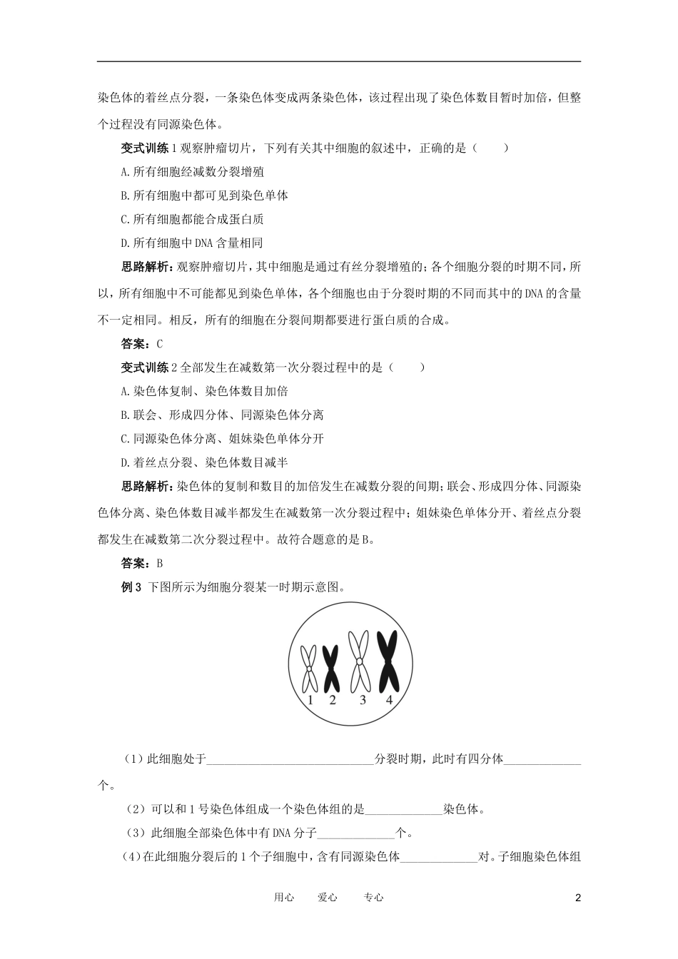 2012高中生物 1.1.1《减数分裂与配子形成》例题与探究 中图版必修2_第2页