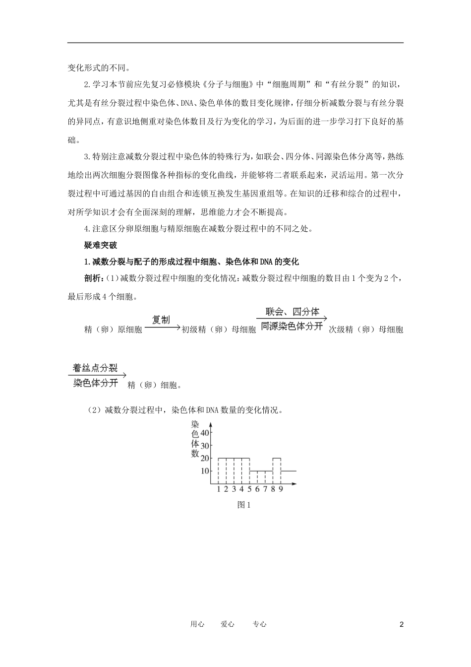 2012高中生物 1.1.1《减数分裂与配子形成》知识梳理 中图版必修2_第2页