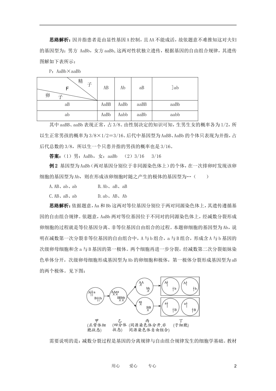 2012高中生物 2.2.1《自由组合规律试验》例题与探究 中图版必修2_第2页