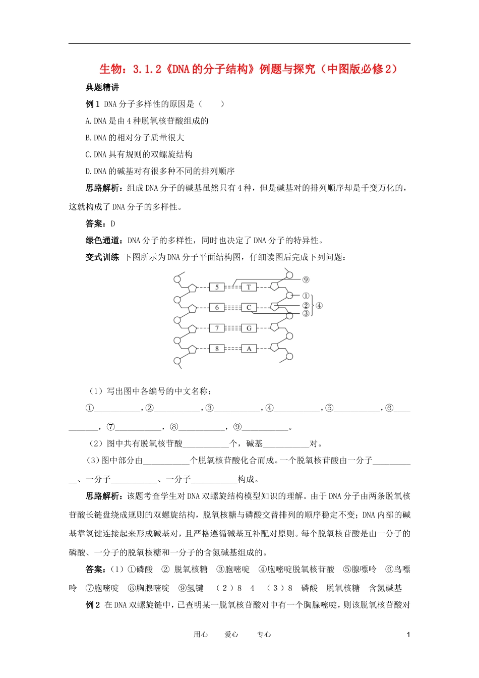 2012高中生物 3.1.2《DNA的分子结构》例题与探究 中图版必修2_第1页