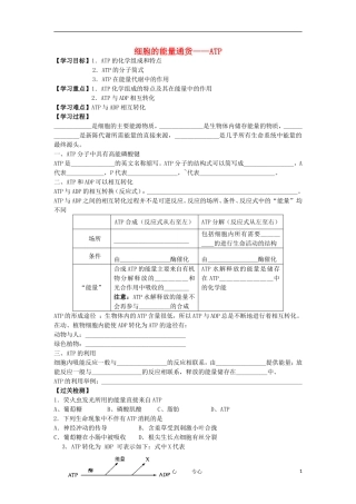 2012高中生物 5.2细胞的能量通货—ATP精品学案 新人教版必修1