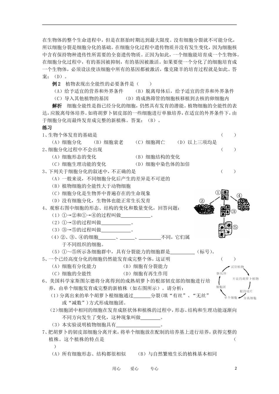 2012高中生物 6.2细胞的分化精品学案 新人教版必修1_第2页