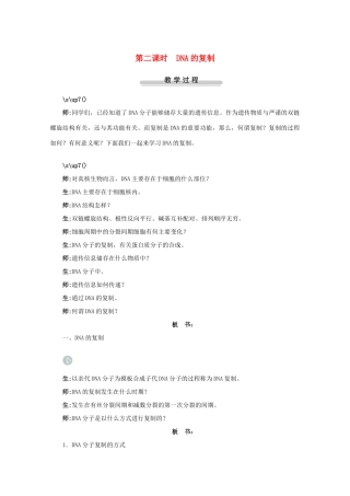 2012高中生物 第二节DNA的结构和DNA的复制第2课时示范教案 苏教版