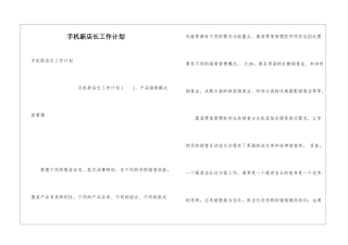 手机新店长工作计划
