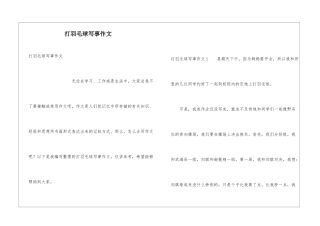 打羽毛球写事作文