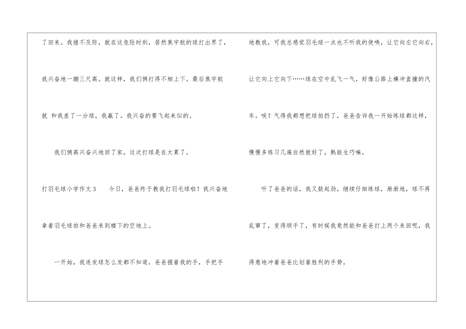 打羽毛球小学作文_第3页