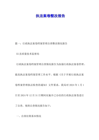 执法案卷整改报告