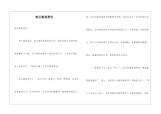 执行就是责任