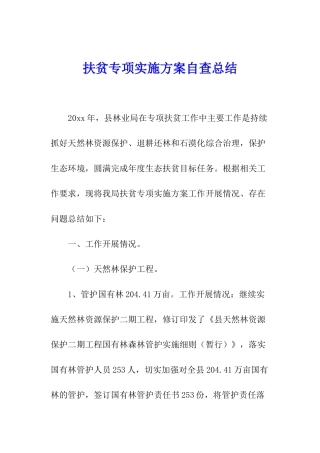 扶贫专项实施方案自查总结