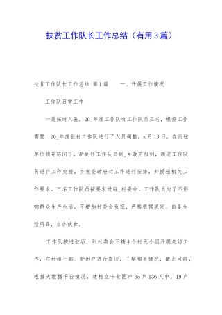 扶贫工作队长工作总结