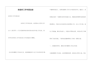 扶进村工作年度总结