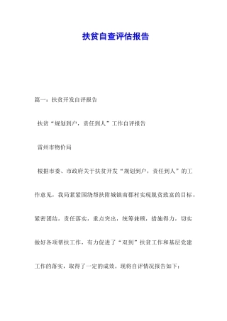 扶贫自查评估报告