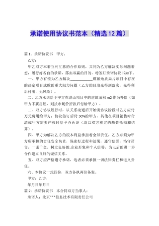 承诺使用协议书范本