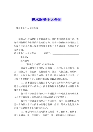 技术服务个人合同