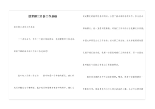 技术部三月份工作总结