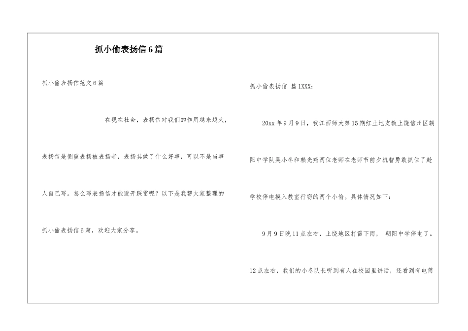 抓小偷表扬信6篇_第1页
