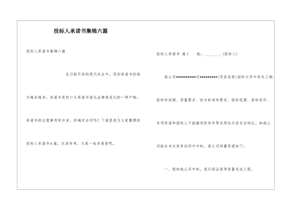 投标人承诺书集锦六篇_第1页
