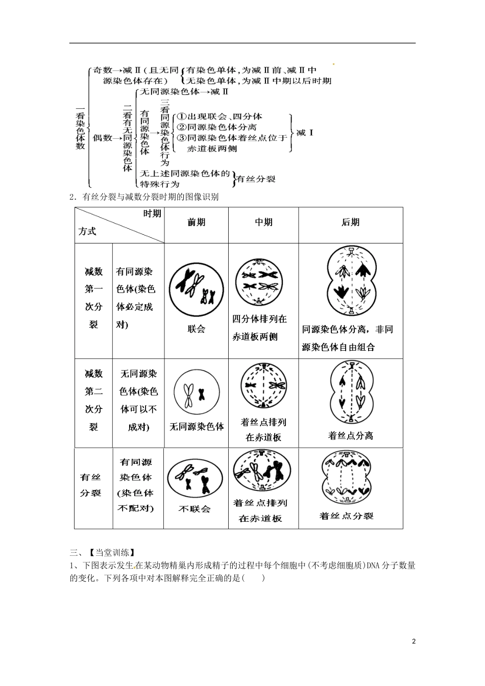 2013-2014高中生物 2.1 减数分裂和受精作用 第三课时导学案 新人教版必修2_第2页