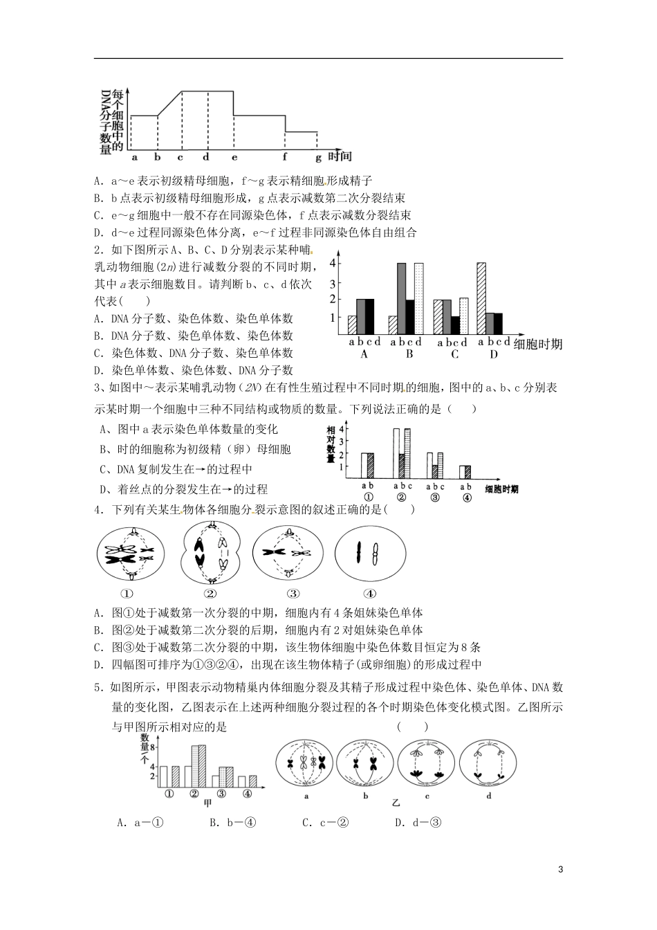 2013-2014高中生物 2.1 减数分裂和受精作用 第三课时导学案 新人教版必修2_第3页