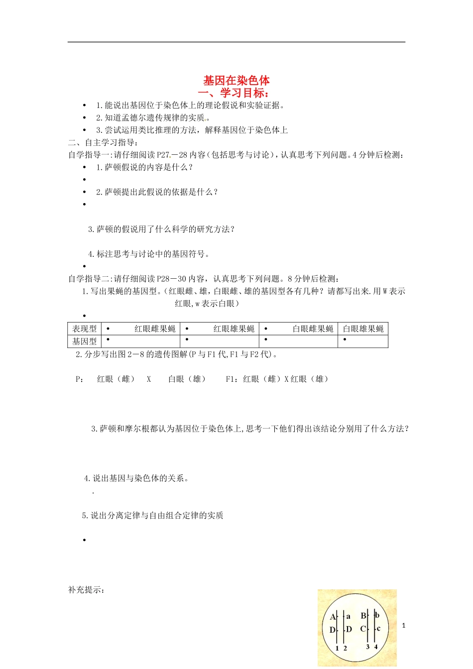 2013-2014高中生物 2.2 基因在染色体上导学案 新人教版必修2_第1页