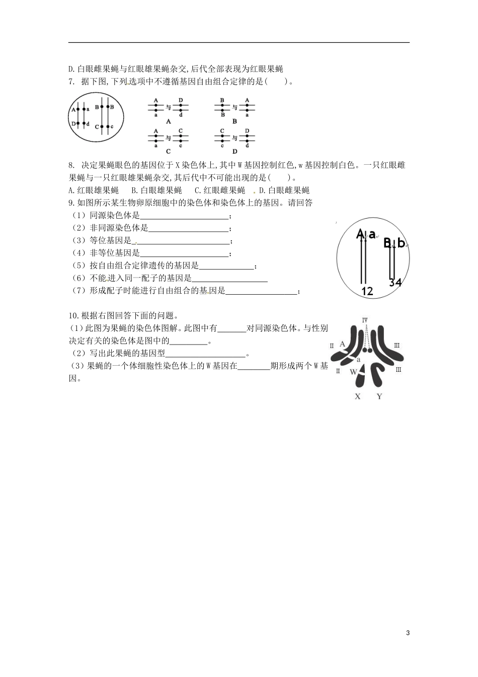 2013-2014高中生物 2.2 基因在染色体上导学案 新人教版必修2_第3页