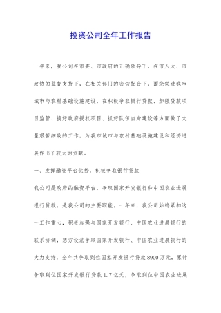 投资公司全年工作报告-