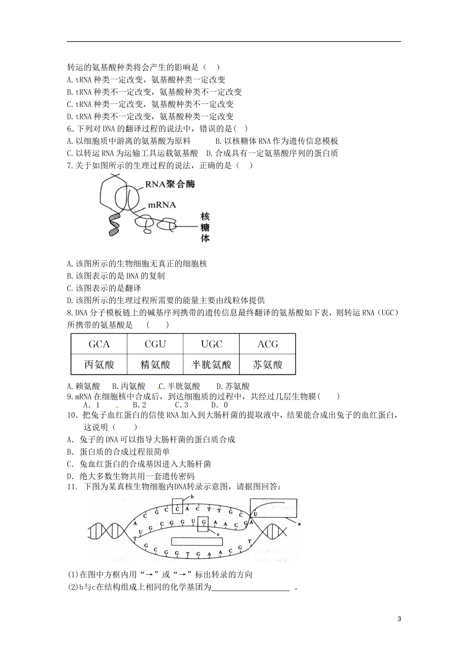 2013-2014高中生物 4.1 基因指导蛋白质的合成2导学案 新人教版必修2_第3页