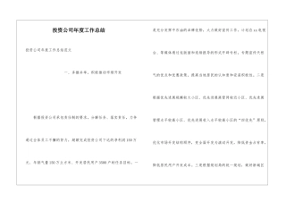 投资公司年度工作总结