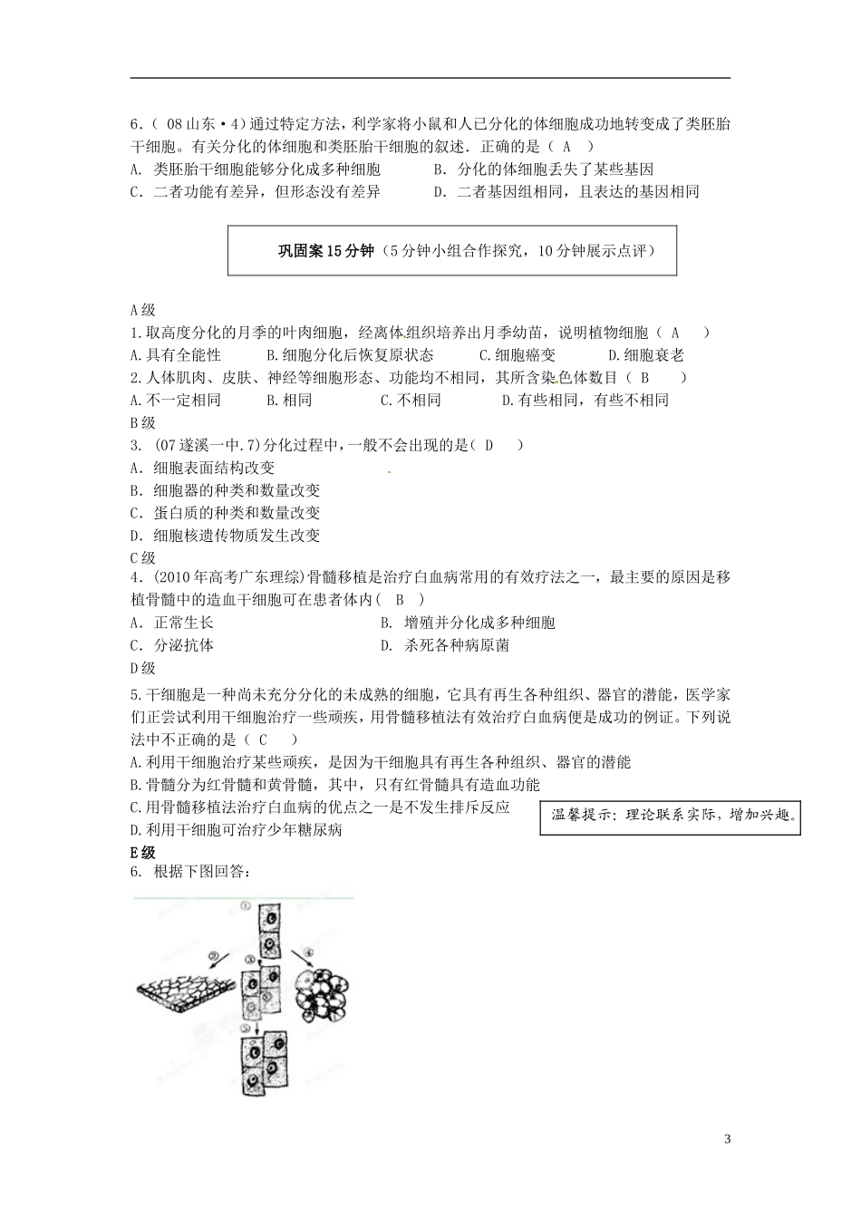 2013-2014高中生物 第六章第二节 细胞的分化（1课时）教学案 新人教版必修1_第3页